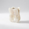 Tooth Acetate Hair Claw Clip